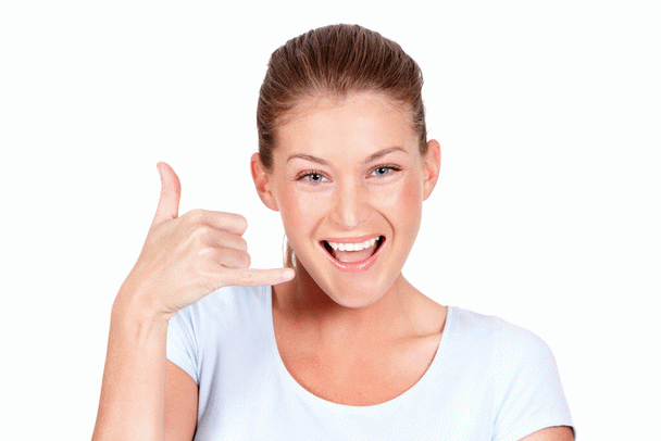 14 نکته کلیدی در خرید خانه سگ: راهنمای جامع